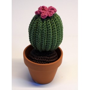 CACTUS-02