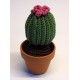 CACTUS-02