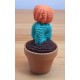 CACTUS-07