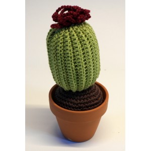 CACTUS-07