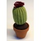 CACTUS-07