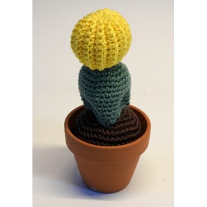 CACTUS-08